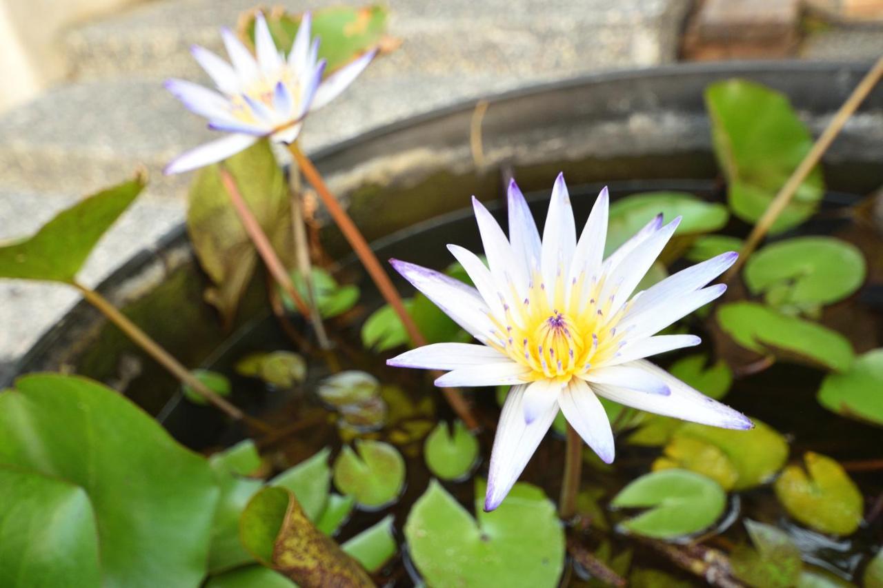 Serenity Moutainview Homestay Mei-nung ภายนอก รูปภาพ